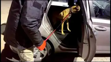 Kayseri'de Büyük Uyuşturucu Operasyonu: 1119 Hap Ele Geçirildi