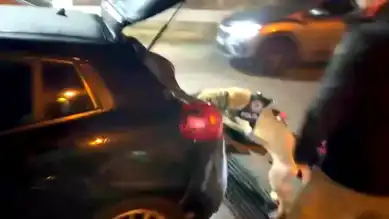 Kayseri'de Büyük Uyuşturucu Operasyonu: 2500'den Fazla Hap Ele Geçirildi!