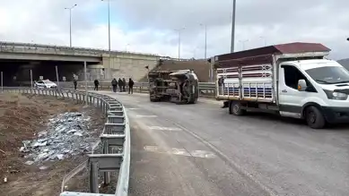 Sivas'ta Kamyonet Kazası: Hayvanlar Yola Düştü