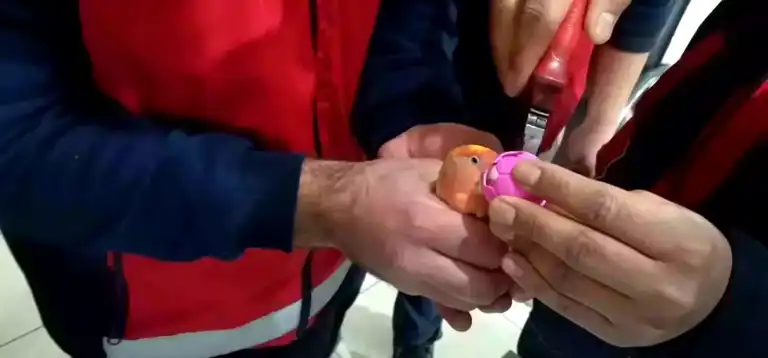 Kayseri'de Papağanın Gagasına Sıkışan Top Kurtarıldı