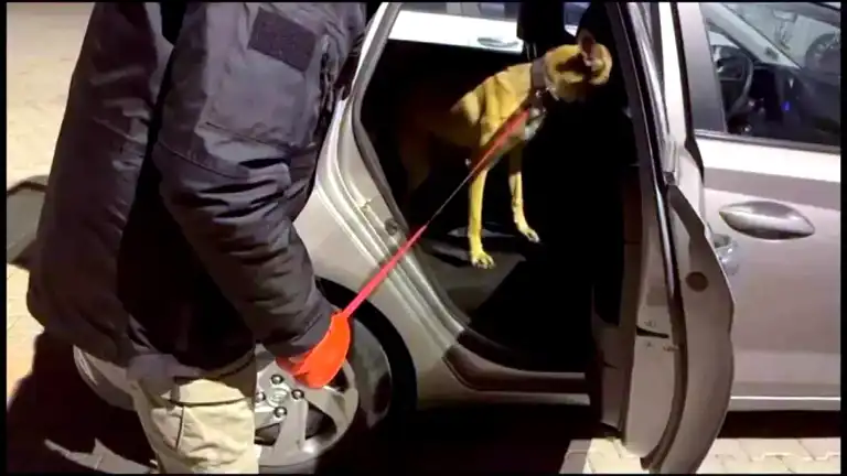 Kayseri'de Büyük Uyuşturucu Operasyonu: 1119 Hap Ele Geçirildi