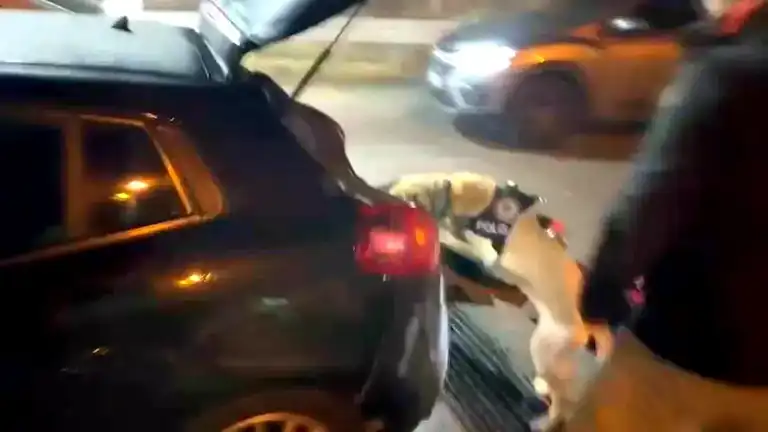 Kayseri'de Büyük Uyuşturucu Operasyonu: 2500'den Fazla Hap Ele Geçirildi!